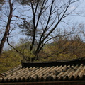 20140420 Korea-DHS Trip of   0873 of 1321